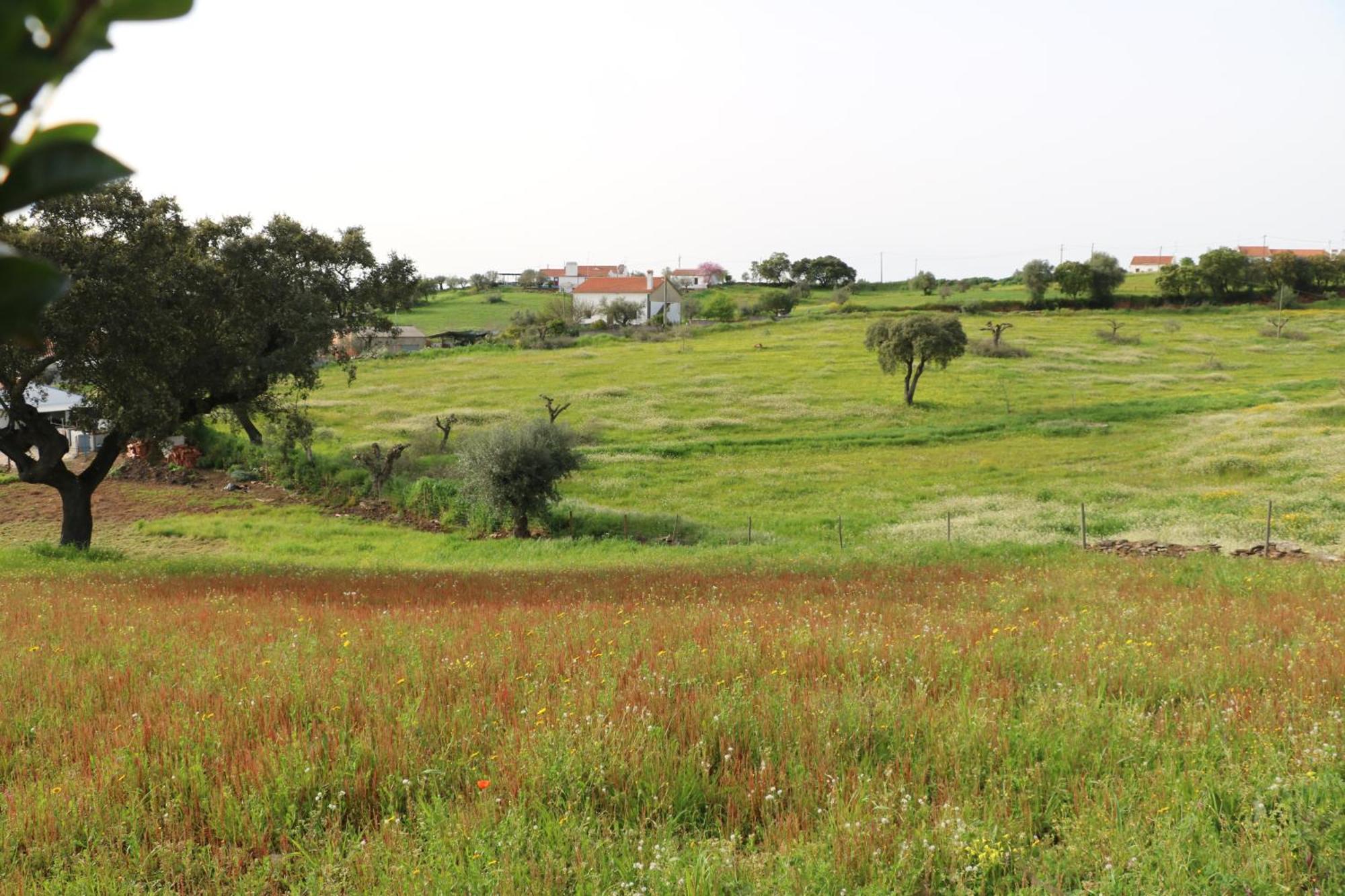 C M Casa De Mares Alojamento Local Casas Novas de Mares Zewnętrze zdjęcie