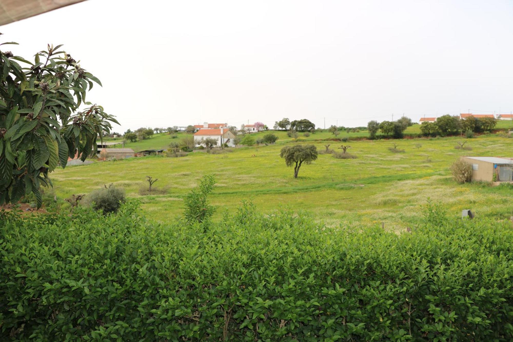 C M Casa De Mares Alojamento Local Casas Novas de Mares Zewnętrze zdjęcie