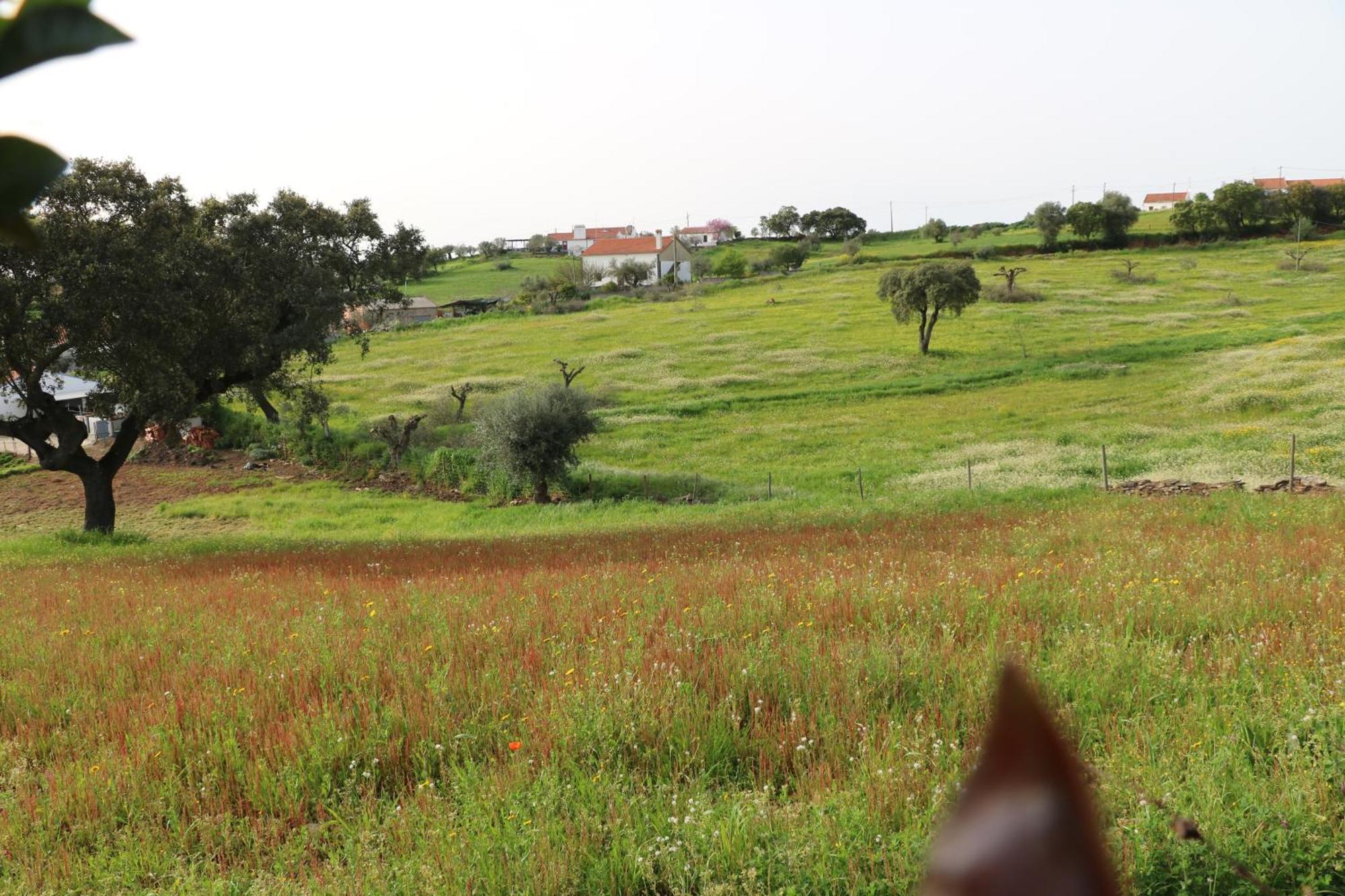 C M Casa De Mares Alojamento Local Casas Novas de Mares Zewnętrze zdjęcie